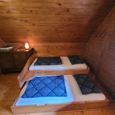Vila Pocitniska Hisa Radovna Zgornja Radovna Exteriér fotografie