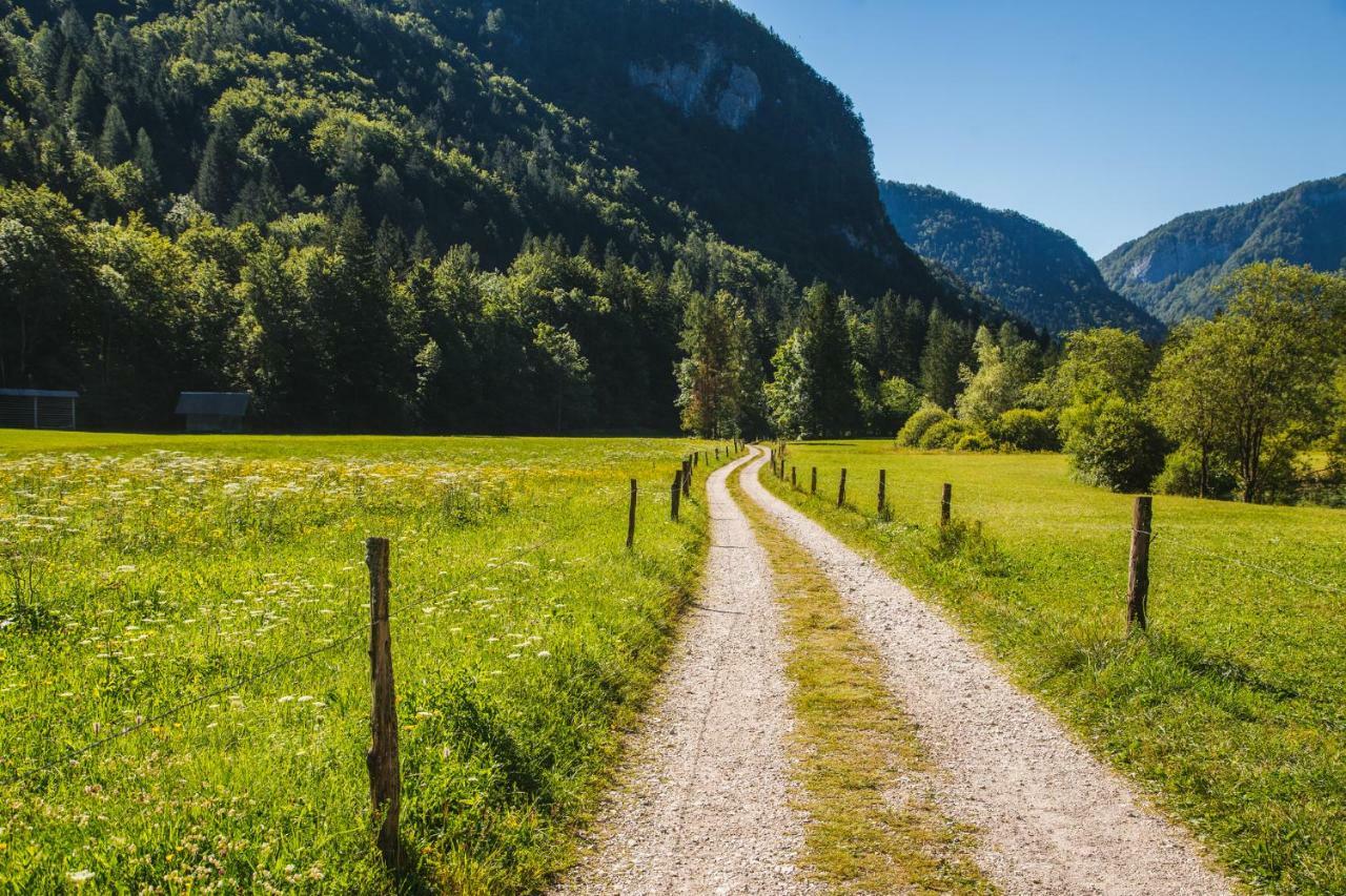 Vila Pocitniska Hisa Radovna Zgornja Radovna Exteriér fotografie