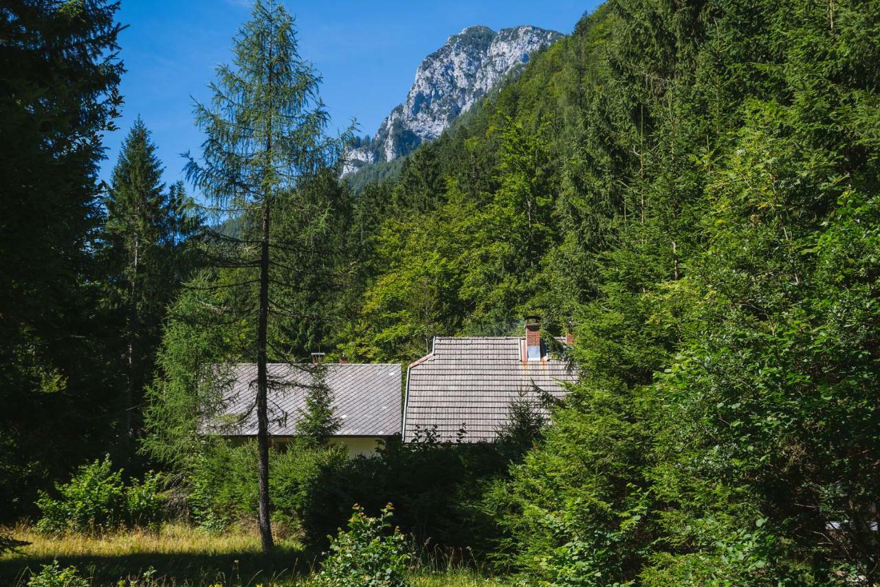 Vila Pocitniska Hisa Radovna Zgornja Radovna Exteriér fotografie